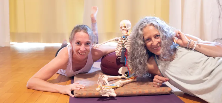 Basic Anatomy – Dein Einstieg in die faszinierende Anatomiewelt @ Studio Yogaflow Münster