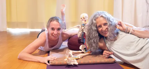 Basic Anatomy – Dein Einstieg in die faszinierende Anatomiewelt @ Studio Yogaflow Münster
