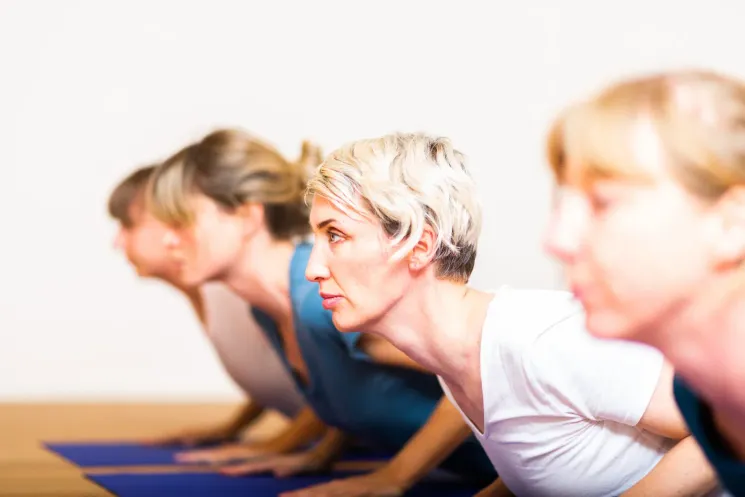 Iyengar Yoga for Beginners and Intermediate  @ GRUNDSTEIN 39 - Yoga - Conscious - Dance