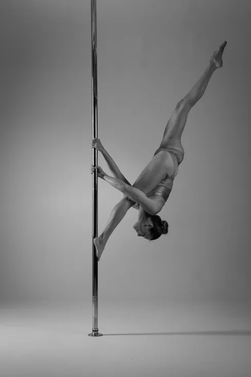 Le studio n'a pas fourni de description pour cette image