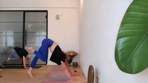 Dieser Anbieter hat keine Bildbeschreibung für dieses Bild hinterlegt