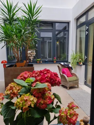 Dieser Anbieter hat keine Bildbeschreibung für dieses Bild hinterlegt