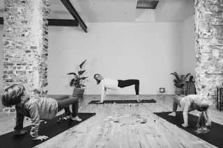 Dieser Anbieter hat keine Bildbeschreibung für dieses Bild hinterlegt