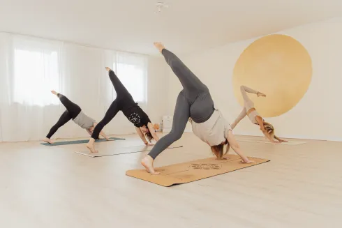 Samtosha Yoga Online-Studio