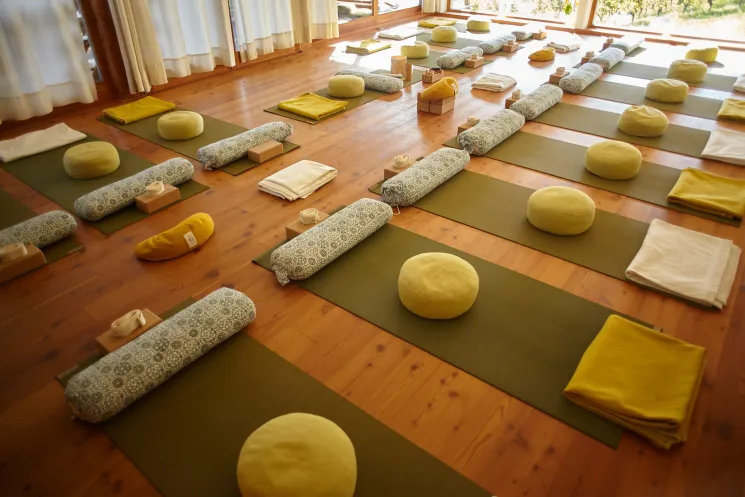 YIN Yoga & Sutra Study @ Institut SCHMIDA  @ Annemarie VENUSfrequency