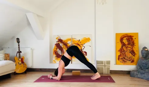 Dieser Anbieter hat keine Bildbeschreibung für dieses Bild hinterlegt