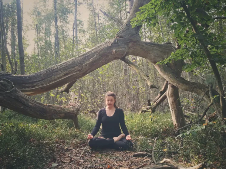 Reise durch die Chakren (7Wo, online) @ Redwood Yoga Bonn
