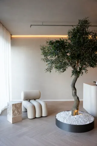 Dieser Anbieter hat keine Bildbeschreibung für dieses Bild hinterlegt