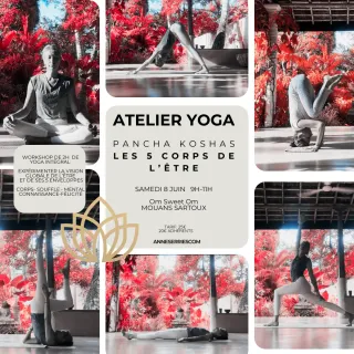 Le studio n'a pas fourni de description pour cette image de profil.