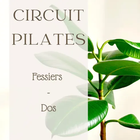 Dieser Anbieter hat keine Bildbeschreibung für dieses Bild hinterlegt