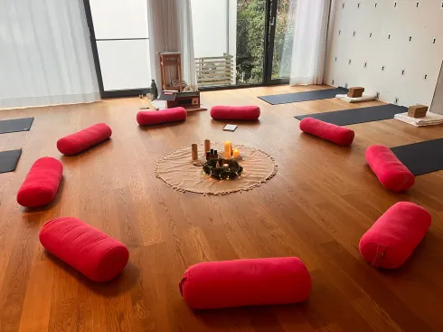 Yoga Day Retreat @ Iyengar-Yoga-Zentrum-Frankfurt (Bad Vilbel-Massenheim)