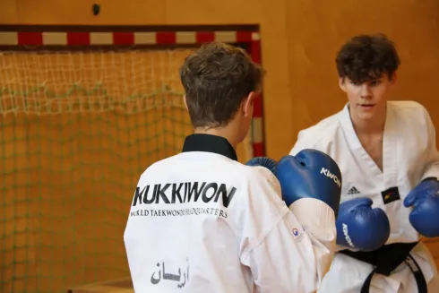 Kickboxen & Taekwondo Erwachsene & Jugend @ Bewegungsforum Kampfkunstforum