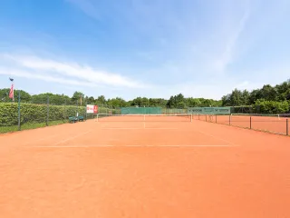 Dieser Anbieter hat keine Bildbeschreibung für dieses Bild hinterlegt