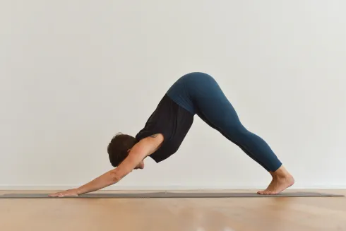 Beginner Vinyasa Präventionskurs (75 Min.) @ YEAH YOGA Augsburg