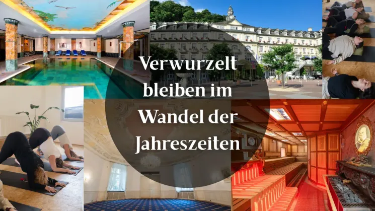 Verwurzelt bleiben im Wandel der Jahreszeiten @ Yogawerkstatt Bonn