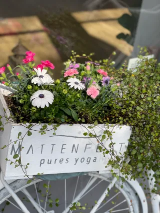 Dieser Anbieter hat keine Bildbeschreibung für dieses Bild hinterlegt