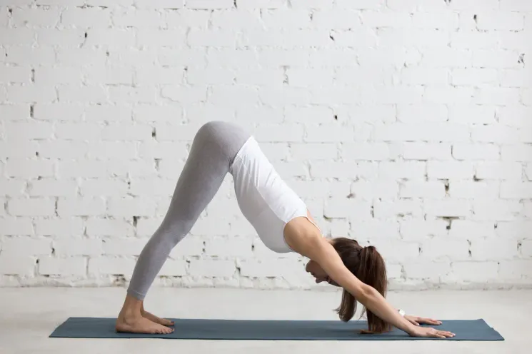 Yoga.Flow Online @ Yoga.Motion