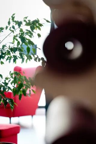 Dieser Anbieter hat keine Bildbeschreibung für dieses Bild hinterlegt