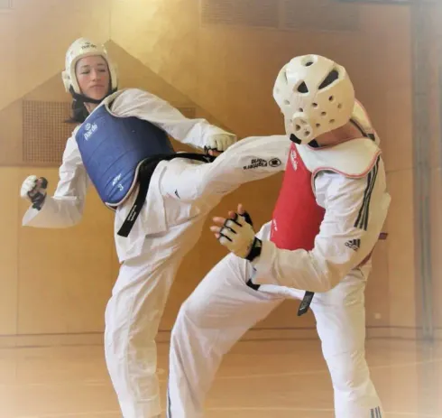 Online - Cross Fight Taekwondo @ Bewegungsforum Kampfkunstforum