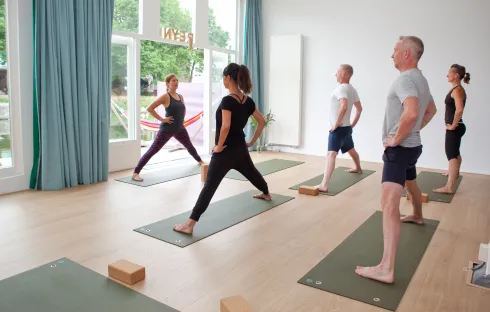 Online Hatha Basics Yoga @ Studio Reyn
