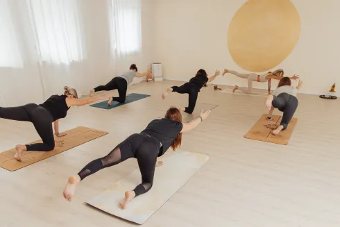 Dieser Anbieter hat keine Bildbeschreibung für dieses Bild hinterlegt