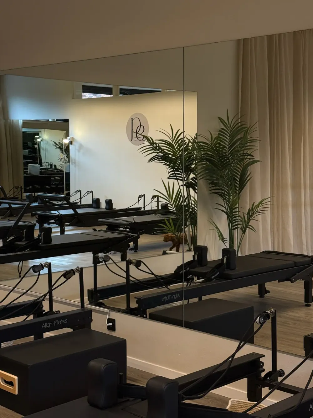 pure elan studio