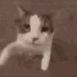 Aleksandar
