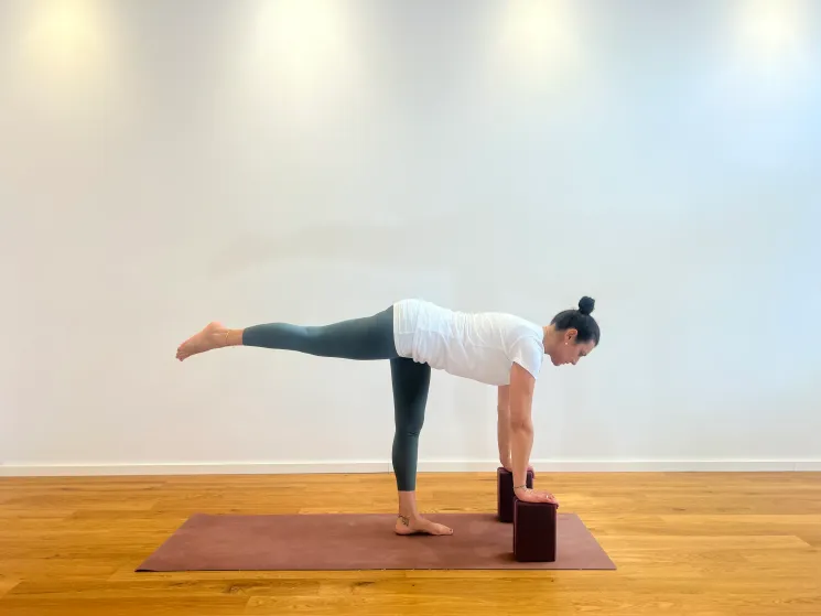 Absolute Beginner & Wiedereinsteiger Workshop @ Anse Yoga