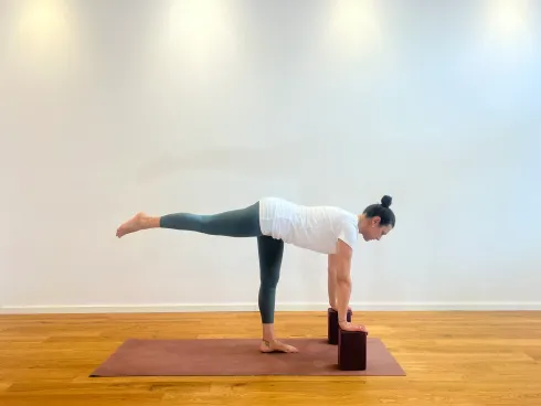 Absolute Beginner & Wiedereinsteiger Workshop @ Anse Yoga