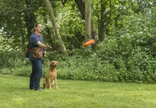 Dieser Anbieter hat keine Bildbeschreibung für dieses Bild hinterlegt