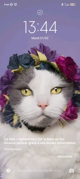 User headshot