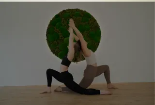 Dieser Anbieter hat keine Bildbeschreibung für dieses Bild hinterlegt