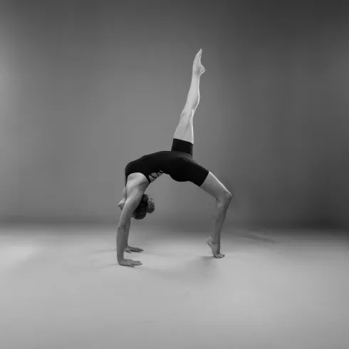 Le studio n'a pas fourni de description pour cette image