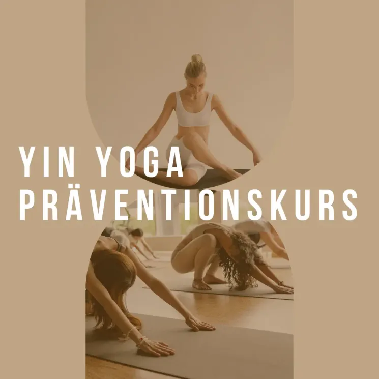 Yin Yoga Präventionskurs @ Sangha Yoga Norderstedt