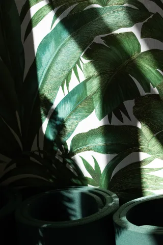 Dieser Anbieter hat keine Bildbeschreibung für dieses Bild hinterlegt