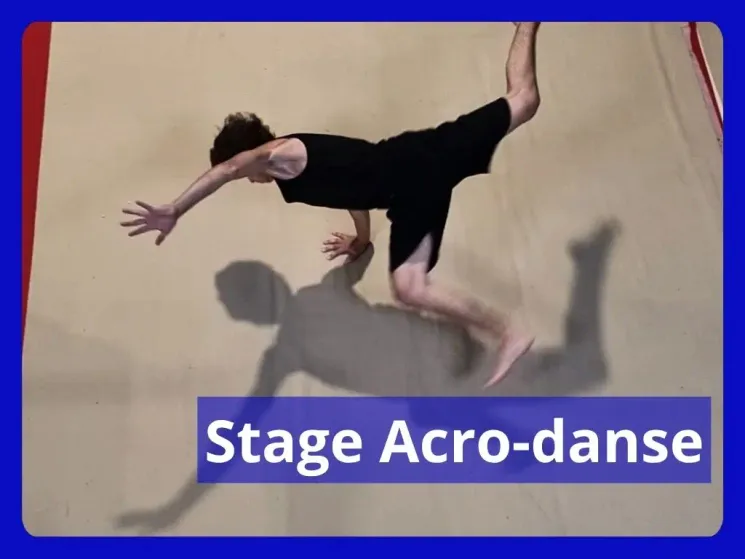 Stages Acro-danse - dès 12 ans @ WEST COAST ACADEMY