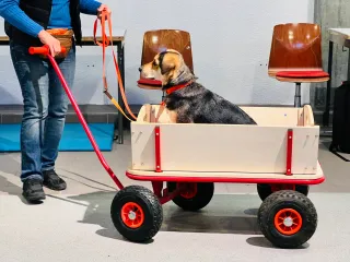 Dieser Anbieter hat keine Bildbeschreibung für dieses Bild hinterlegt