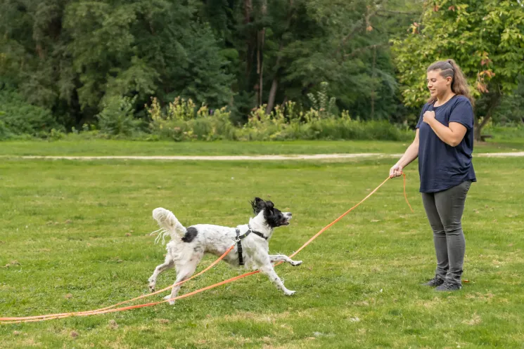 Rückruf von Grund auf: weitere Übungen @ Martin Rütter Hundeschule Wiesbaden / Main-Taunus-Kreis