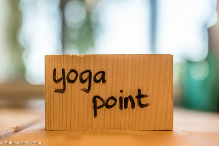  Hatha Yoga @ Yogapoint Woerden