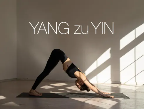 Dieser Anbieter hat keine Bildbeschreibung für dieses Bild hinterlegt