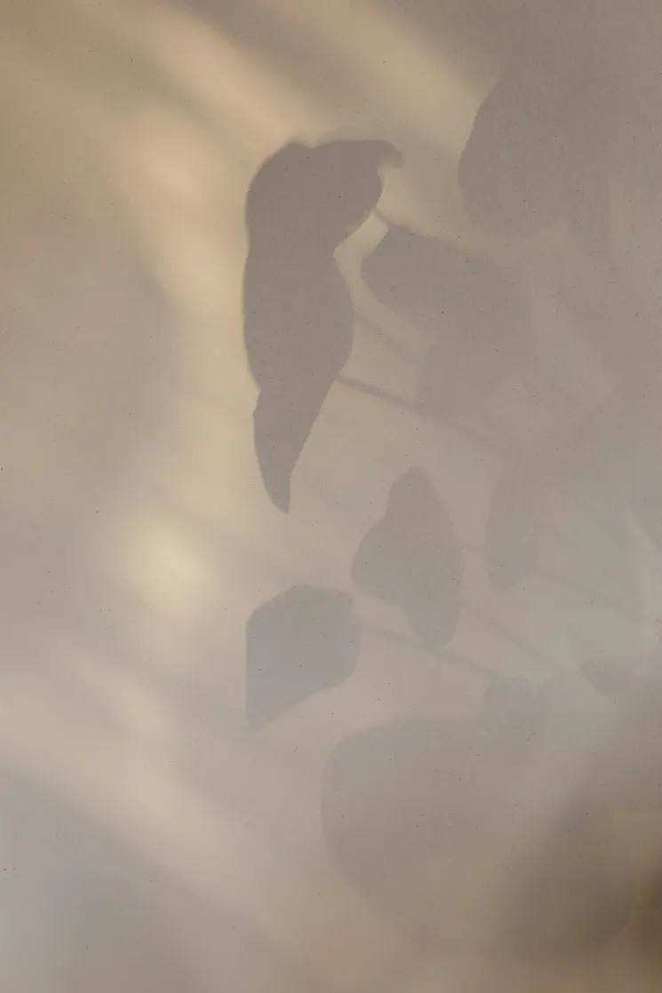 ONLINE Morning Yoga @ SO HAM Studio | Stephanie Muley & Tina Misch GbR