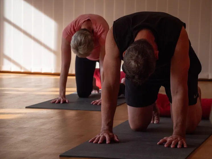 Basic Yoga Flow @ insaja - yoga & dance