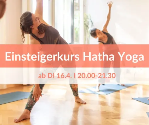 Kurs: Yoga für Einsteiger - ab 16.4. @ Yogahaus Dresden