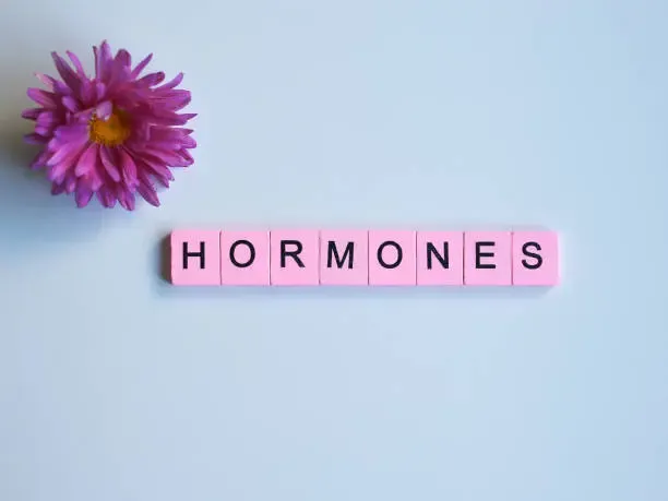 Hormonyoga & Hormonwissen @ REFUGIUM by Carina Becker | Online Studio für Yoga und Yogatherapie