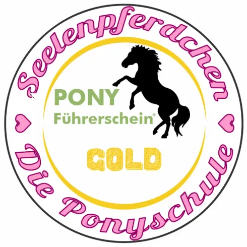 Pony-Führerschein GOLD @ Ponyschule Seelenpferdchen