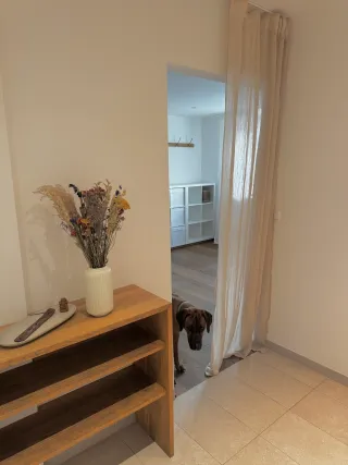 Dieser Anbieter hat keine Bildbeschreibung für dieses Bild hinterlegt