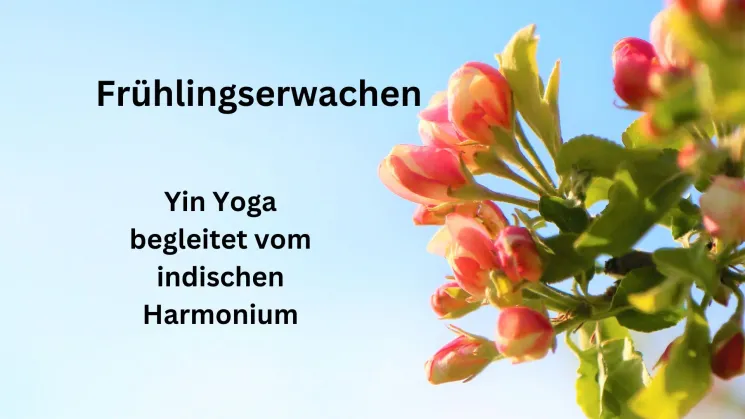 Frühlingserwachen  @ Chi Loft Yoga, Pilates & mehr