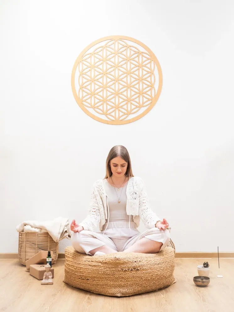 Meditation & Nervensystem-Regulation: Deine Basis für innere Balance @ Studio DREIRAUM