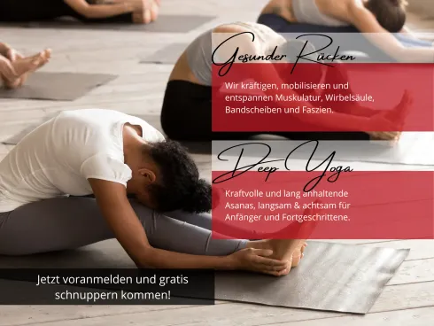 Gesunder Rücken @ INFLOW | Poledance, Fitness & Yoga