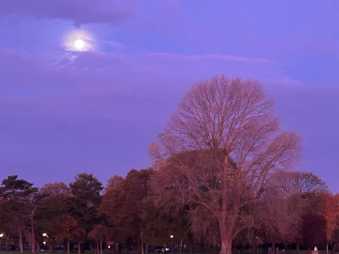 Le studio n'a pas fourni de description pour cette image